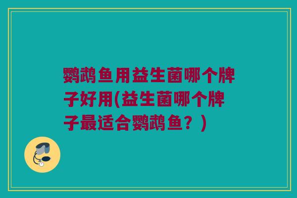 鹦鹉鱼用益生菌哪个牌子好用(益生菌哪个牌子最适合鹦鹉鱼？)