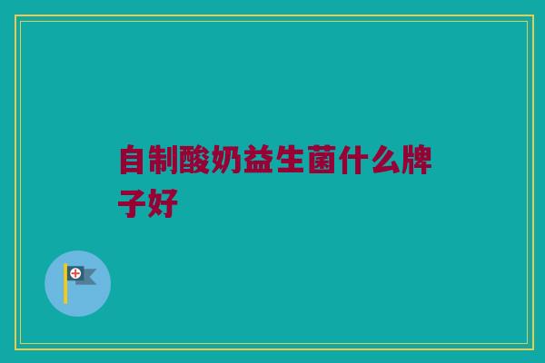 自制酸奶益生菌什么牌子好