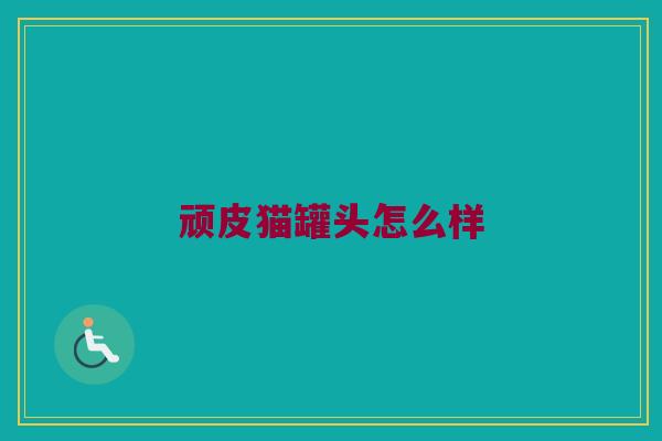顽皮猫罐头怎么样
