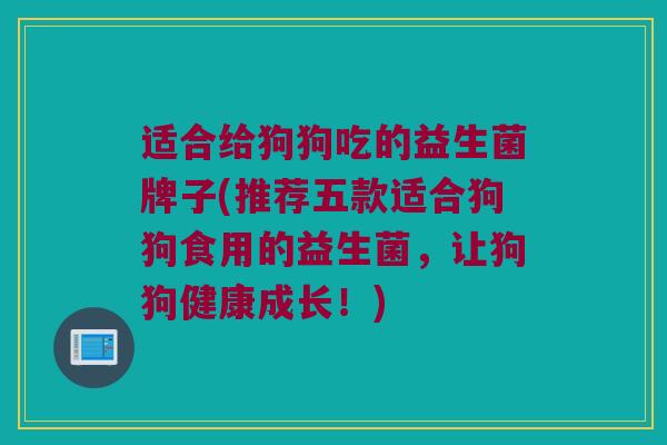 适合给狗狗吃的益生菌牌子(推荐五款适合狗狗食用的益生菌，让狗狗健康成长！)