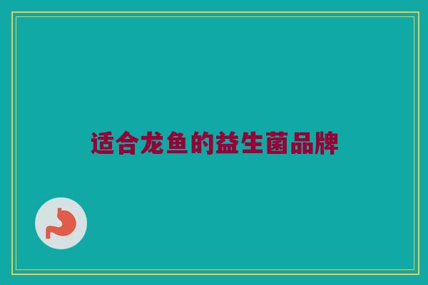 适合龙鱼的益生菌品牌