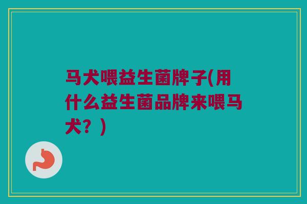 马犬喂益生菌牌子(用什么益生菌品牌来喂马犬？)