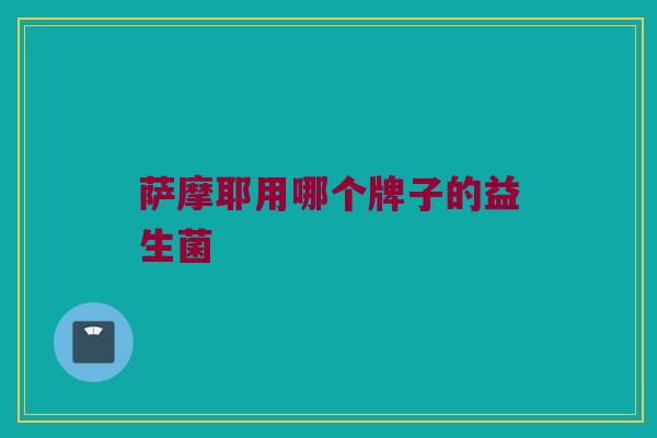 萨摩耶用哪个牌子的益生菌