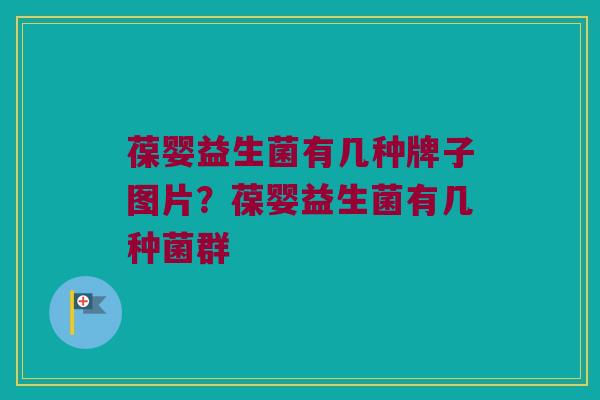 葆婴益生菌有几种牌子图片？葆婴益生菌有几种菌群