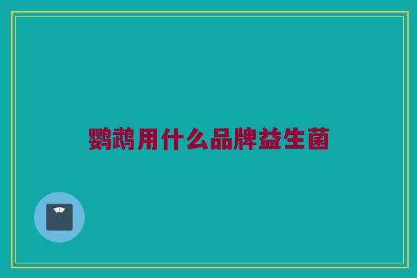 鹦鹉用什么品牌益生菌