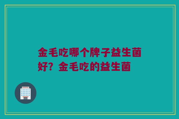 金毛吃哪个牌子益生菌好？金毛吃的益生菌
