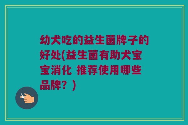 幼犬吃的益生菌牌子的好处(益生菌有助犬宝宝消化 推荐使用哪些品牌?) 幼犬吃的益生菌牌子的好处(益生菌有助犬宝宝消化 推荐使用哪些品牌?)
