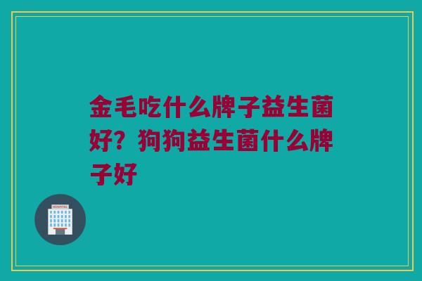 金毛吃什么牌子益生菌好？狗狗益生菌什么牌子好