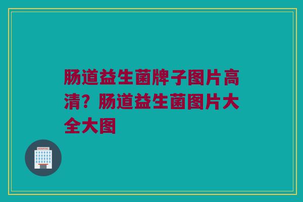 肠道益生菌牌子图片高清?肠道益生菌图片大全大图 肠道益生菌牌子图片高清?肠道益生菌图片大全大图
