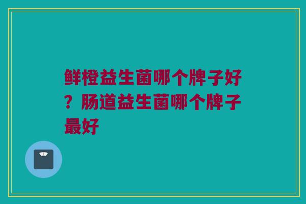 鲜橙益生菌哪个牌子好？肠道益生菌哪个牌子最好
