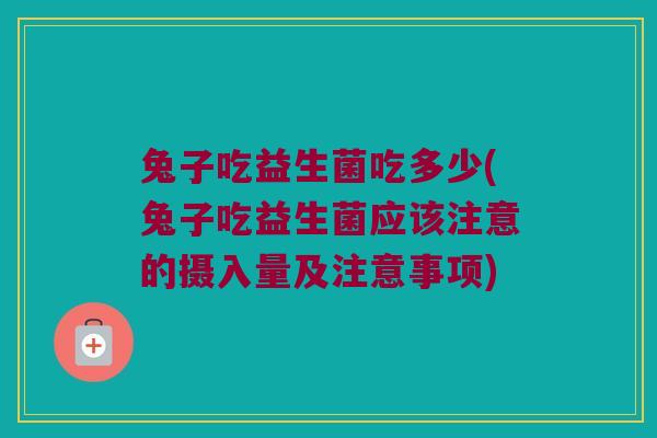 兔子吃益生菌吃多少(兔子吃益生菌应该注意的摄入量及注意事项)