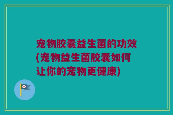 宠物胶囊益生菌的功效(宠物益生菌胶囊如何让你的宠物更健康)