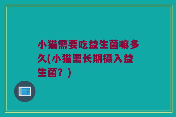 小猫需要吃益生菌嘛多久(小猫需长期摄入益生菌？)