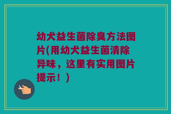 幼犬益生菌除臭方法图片(用幼犬益生菌清除异味，这里有实用图片提示！)