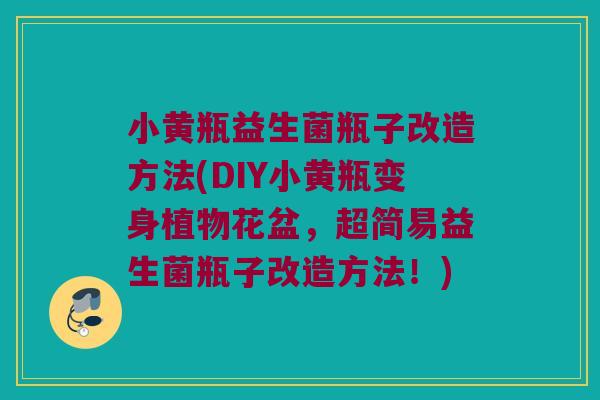 小黄瓶益生菌瓶子改造方法(DIY小黄瓶变身植物花盆，超简易益生菌瓶子改造方法！)