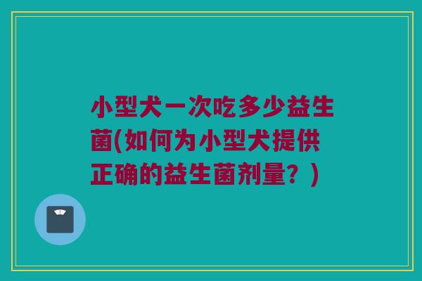 小型犬一次吃多少益生菌(如何为小型犬提供正确的益生菌剂量？)