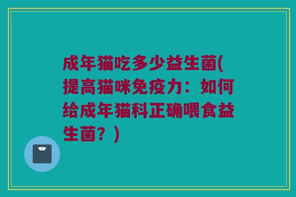 成年猫吃多少益生菌(提高猫咪免疫力：如何给成年猫科正确喂食益生菌？)