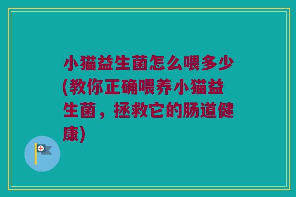 小猫益生菌怎么喂多少(教你正确喂养小猫益生菌，拯救它的肠道健康)