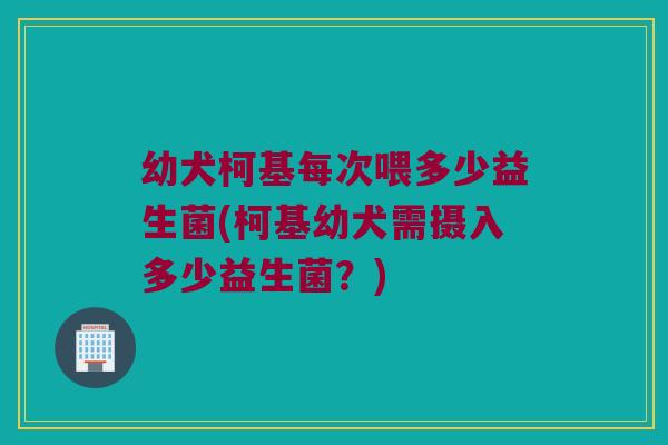 幼犬柯基每次喂多少益生菌(柯基幼犬需摄入多少益生菌？)