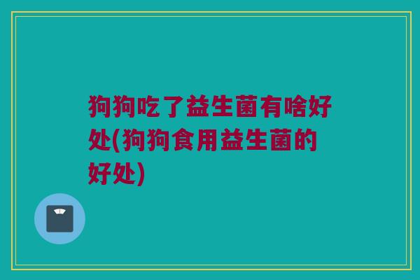 狗狗吃了益生菌有啥好处(狗狗食用益生菌的好处)