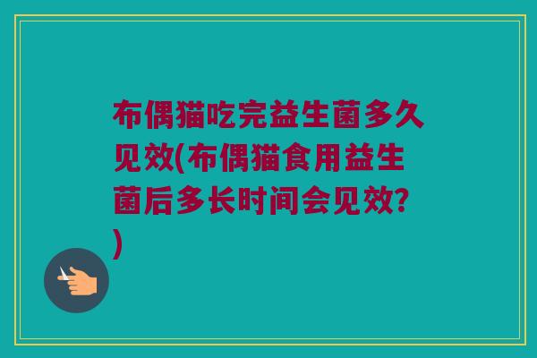 布偶猫吃完益生菌多久见效(布偶猫食用益生菌后多长时间会见效？)