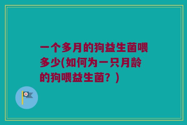 一个多月的狗益生菌喂多少(如何为一只月龄的狗喂益生菌？)