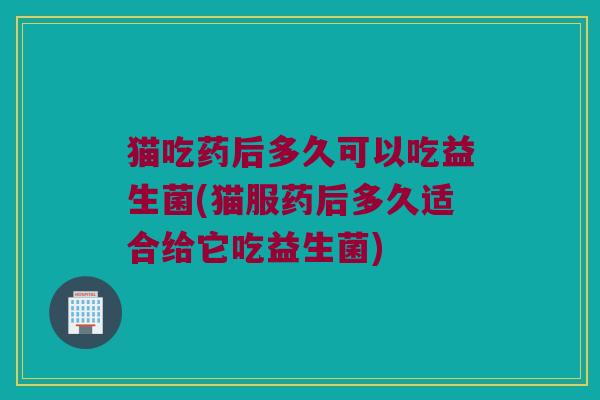 猫吃药后多久可以吃益生菌(猫服药后多久适合给它吃益生菌)