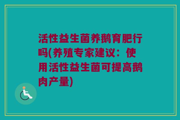 活性益生菌养鹅育肥行吗(养殖专家建议：使用活性益生菌可提高鹅肉产量)