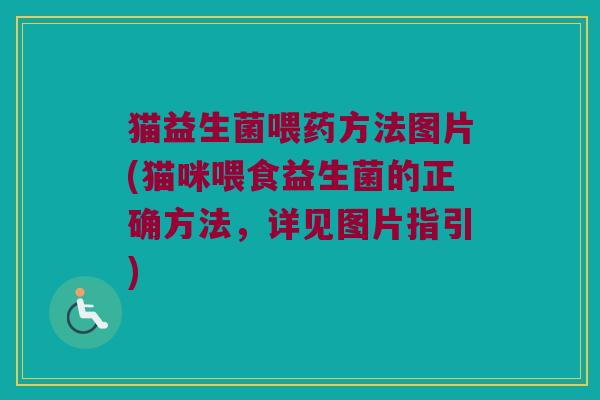 猫益生菌喂药方法图片(猫咪喂食益生菌的正确方法，详见图片指引)