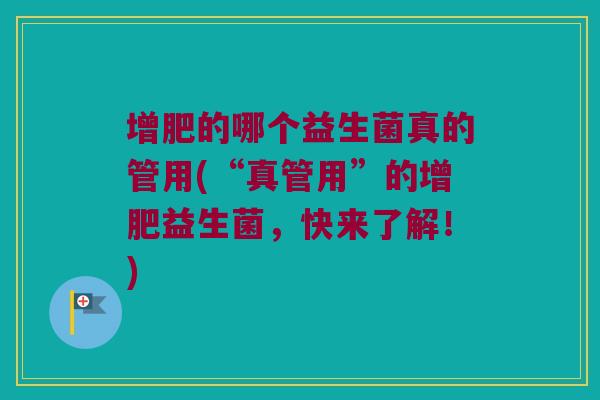 增肥的哪个益生菌真的管用(“真管用”的增肥益生菌,快来了解!) 增肥的哪个益生菌真的管用(“真管用”的增肥益生菌,快来了解!)