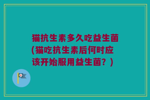 猫抗生素多久吃益生菌(猫吃抗生素后何时应该开始服用益生菌？)