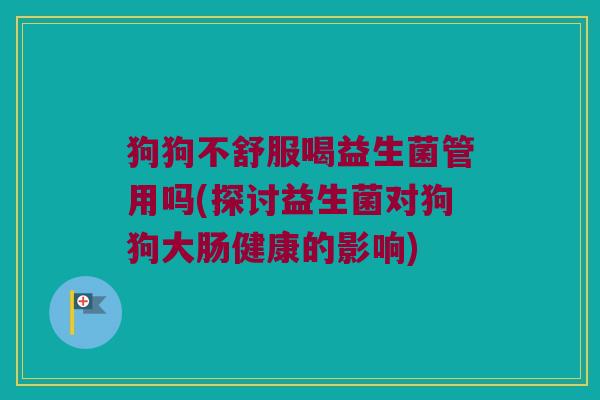 狗狗不舒服喝益生菌管用吗(探讨益生菌对狗狗大肠健康的影响)