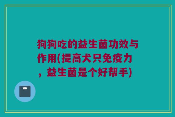 狗狗吃的益生菌功效与作用(提高犬只免疫力，益生菌是个好帮手)