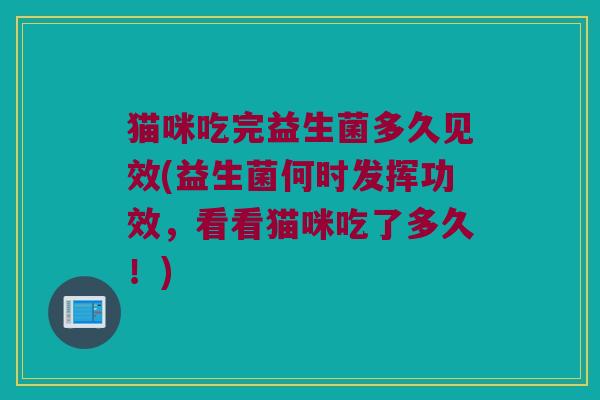 猫咪吃完益生菌多久见效(益生菌何时发挥功效，看看猫咪吃了多久！)