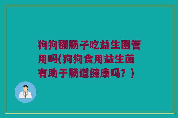狗狗翻肠子吃益生菌管用吗(狗狗食用益生菌有助于肠道健康吗？)