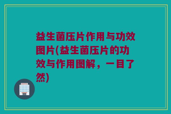 益生菌压片作用与功效图片(益生菌压片的功效与作用图解，一目了然)