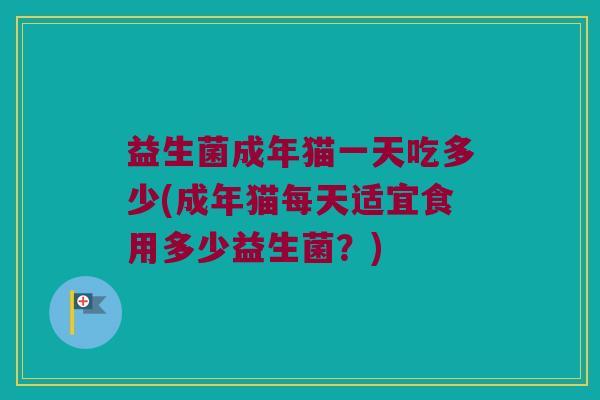益生菌成年猫一天吃多少(成年猫每天适宜食用多少益生菌？)