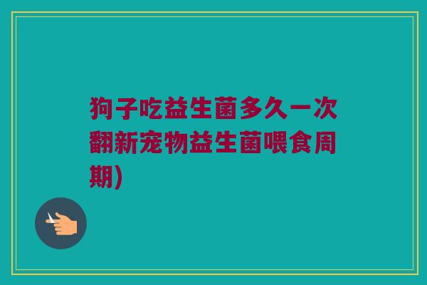 狗子吃益生菌多久一次翻新宠物益生菌喂食周期)