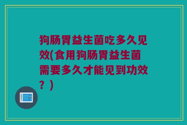 狗肠胃益生菌吃多久见效(食用狗肠胃益生菌需要多久才能见到功效？)