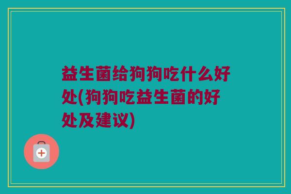 益生菌给狗狗吃什么好处(狗狗吃益生菌的好处及建议)