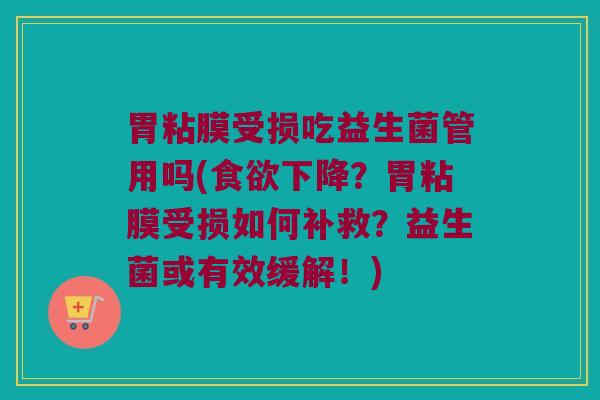 胃粘膜受损吃益生菌管用吗(食欲下降？胃粘膜受损如何补救？益生菌或有效缓解！)