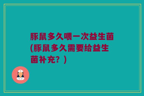 豚鼠多久喂一次益生菌(豚鼠多久需要给益生菌补充？)