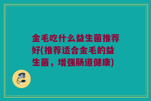 金毛吃什么益生菌推荐好(推荐适合金毛的益生菌，增强肠道健康)