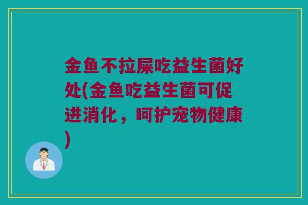 金鱼不拉屎吃益生菌好处(金鱼吃益生菌可促进消化，呵护宠物健康)