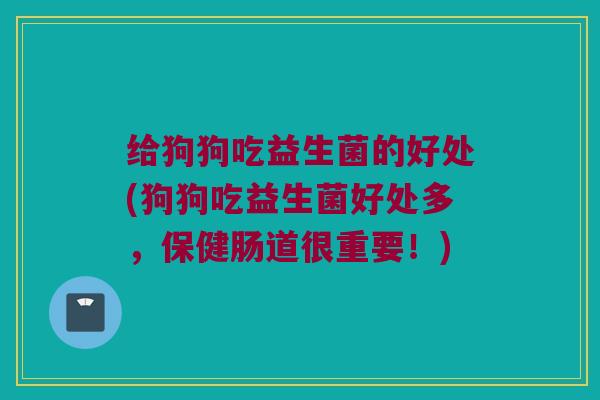 给狗狗吃益生菌的好处(狗狗吃益生菌好处多，保健肠道很重要！)