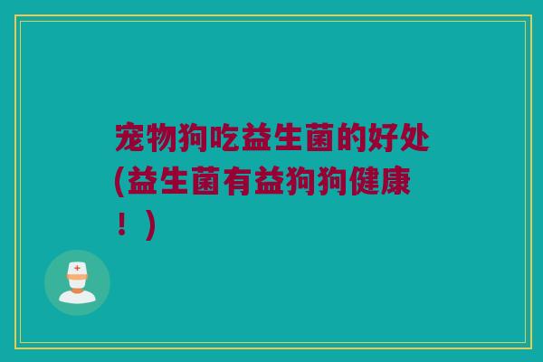 宠物狗吃益生菌的好处(益生菌有益狗狗健康！)