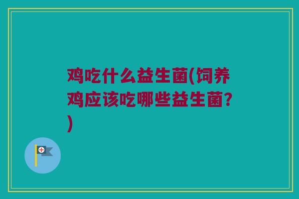 鸡吃什么益生菌(饲养鸡应该吃哪些益生菌？)