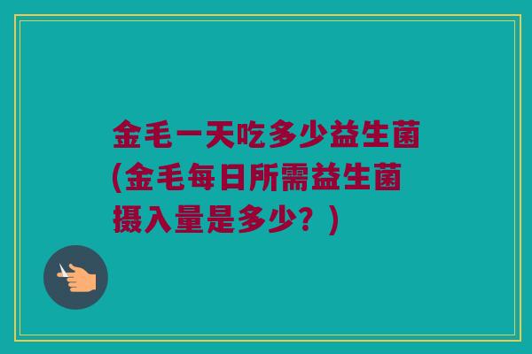 金毛一天吃多少益生菌(金毛每日所需益生菌摄入量是多少？)