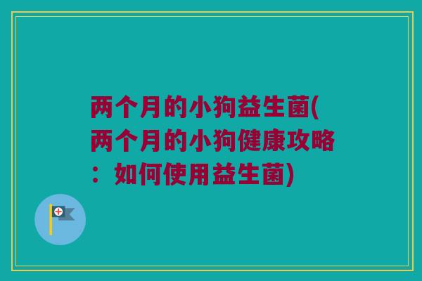 两个月的小狗益生菌(两个月的小狗健康攻略：如何使用益生菌)