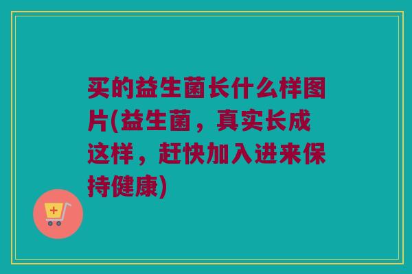买的益生菌长什么样图片(益生菌，真实长成这样，赶快加入进来保持健康)